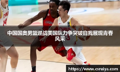 3377体育官网入口