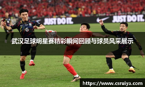 3377体育官网入口